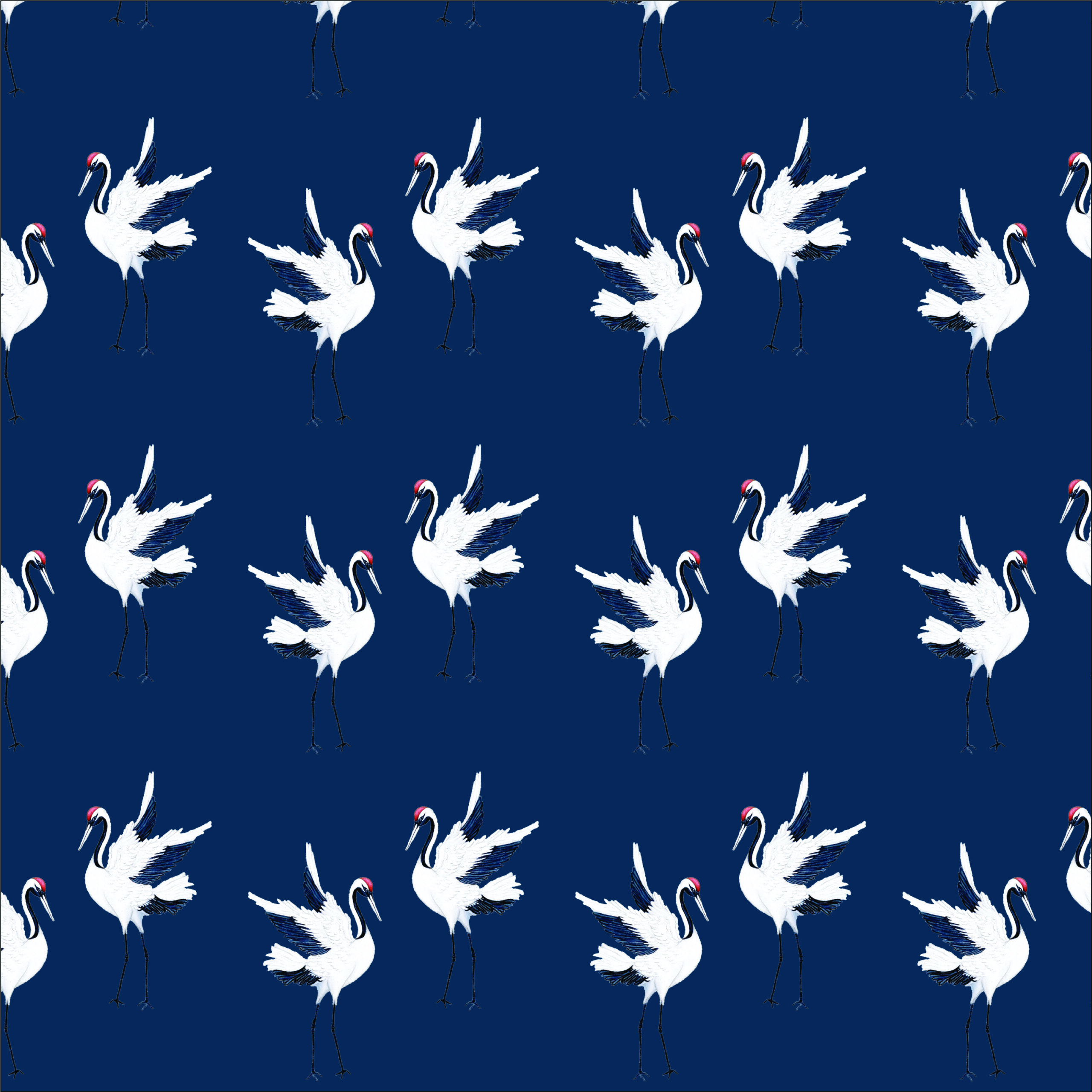 Fosca Dalmatica surface pattern design on dress